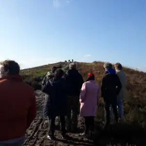 Publiek kijkt naar scene op afstand.webp